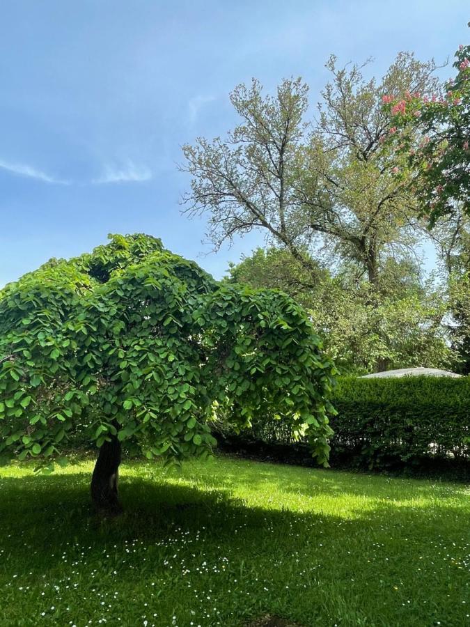 Villa Mura Gite Luxe Avec Piscine Et Spa Campagne Et Grand Air Nouvelle Aquitaine Correze Neuvic  المظهر الخارجي الصورة